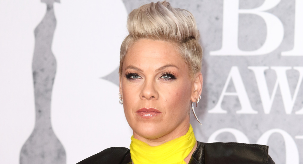 Pink lashes out at trolls after controversy over nude 