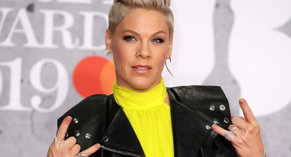 Pink lashes out at trolls after controversy over nude 