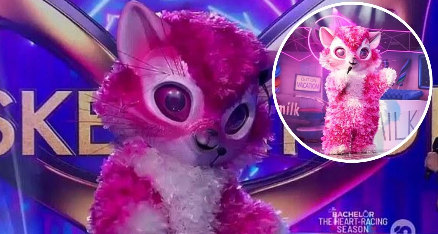 The Masked Singer Australia 2020: Who is Kitten? | New ...