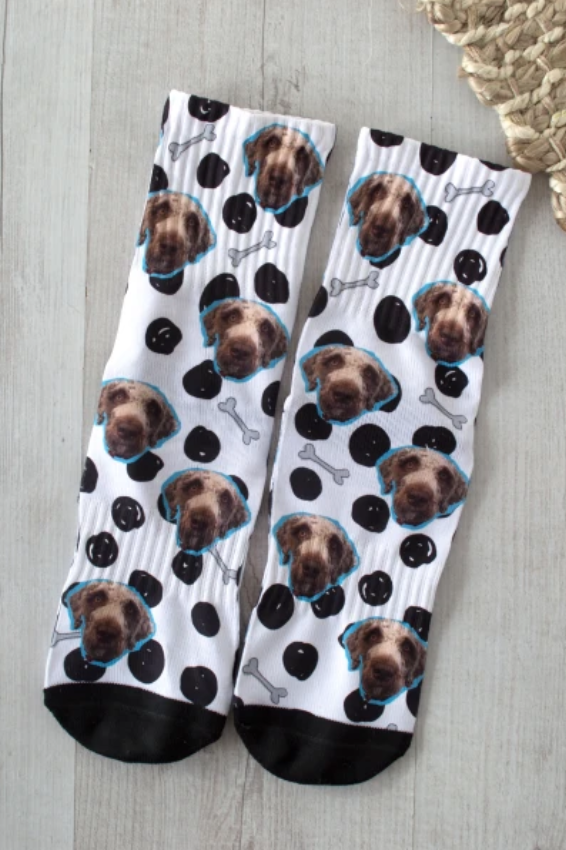 dog-socks