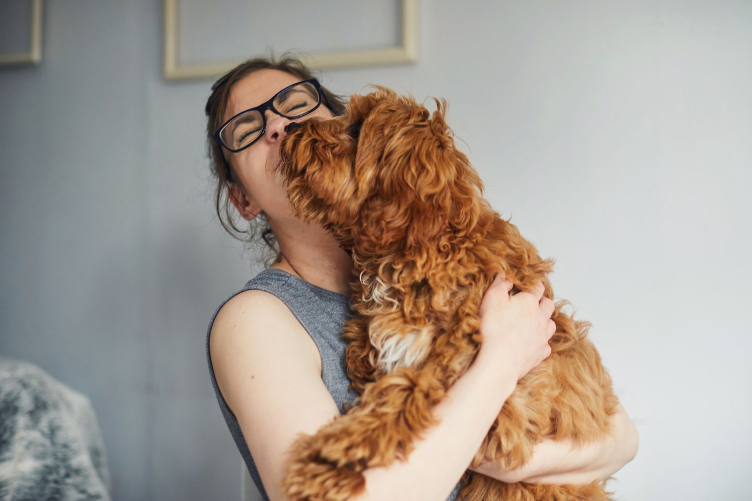 dog-owner-licking-animals
