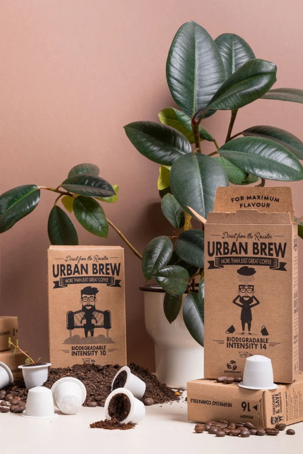 Urban brew coffee subscription