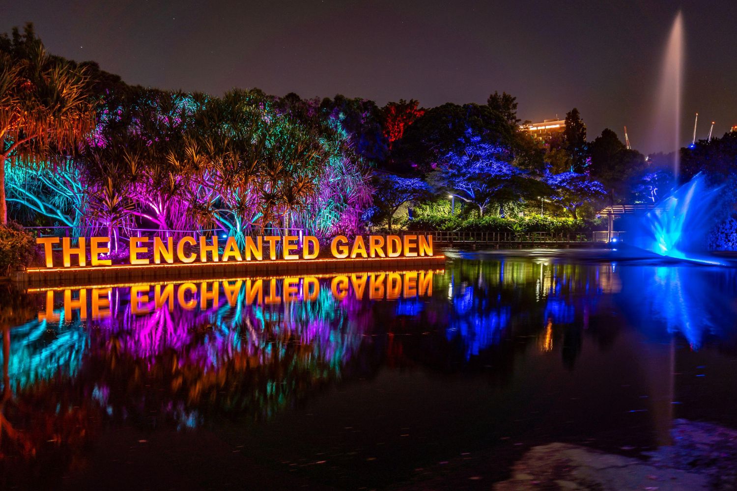 Christmas lights at Brisbane's enchanted garden