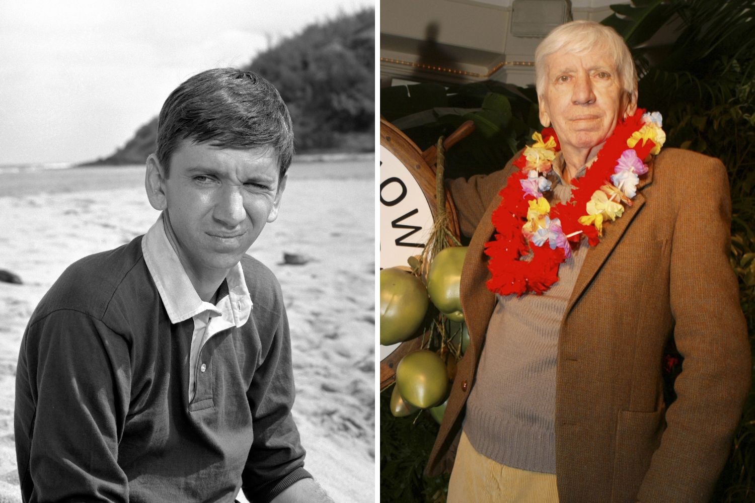 bob denver in gilligans island then and now