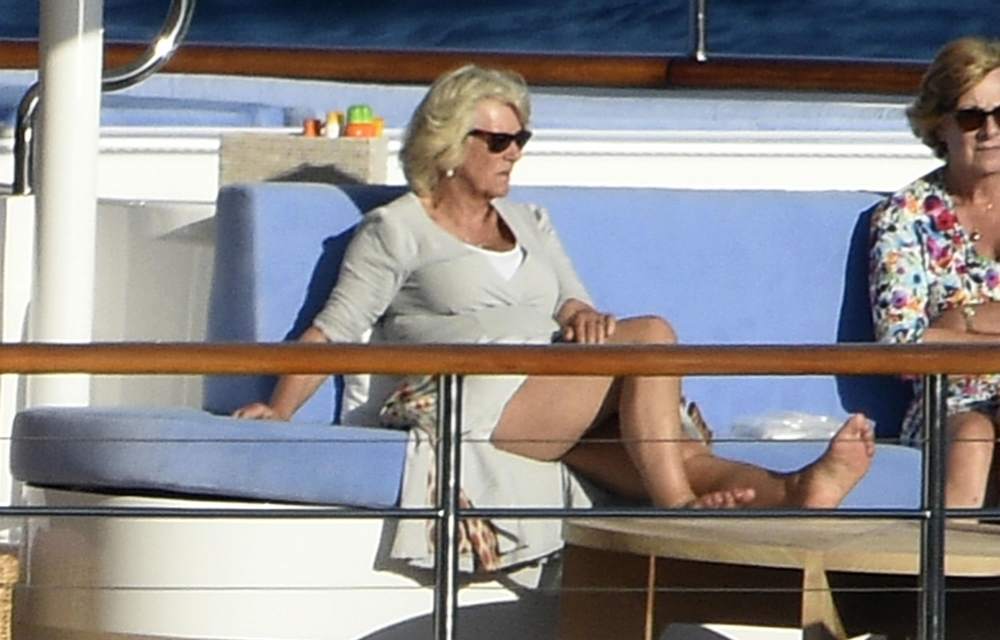 Camilla was seen reading The Quest for Queen Mary, a biography on her husband’s great- grandmother.