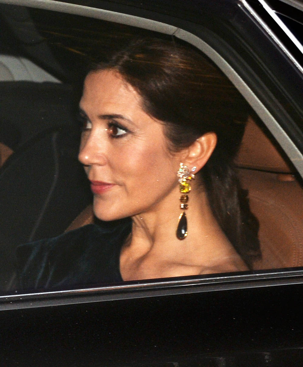 Princess Mary wows in velvet at Prince Charles birthday