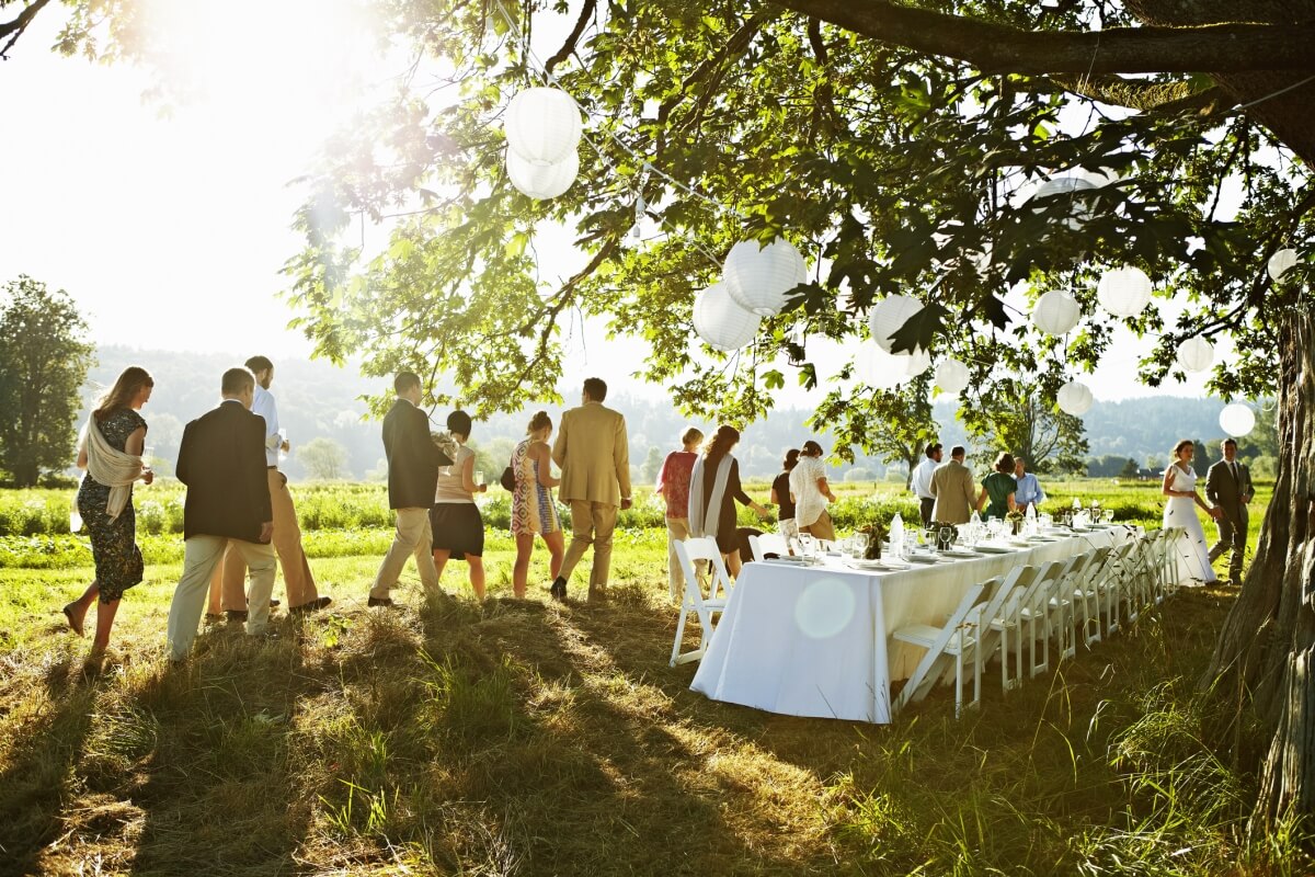A wedding party in a field