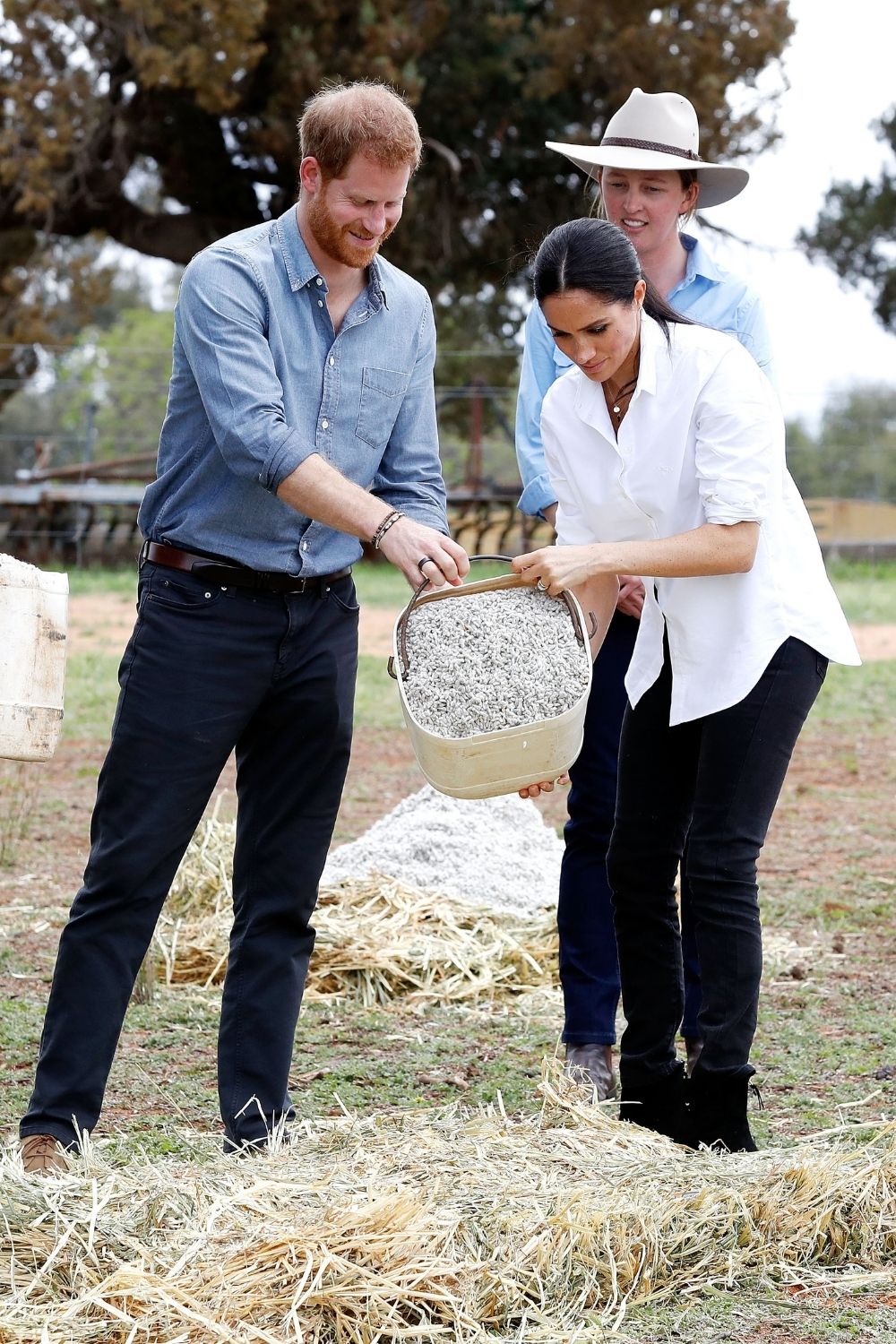 Meghan and Harry dubbo
