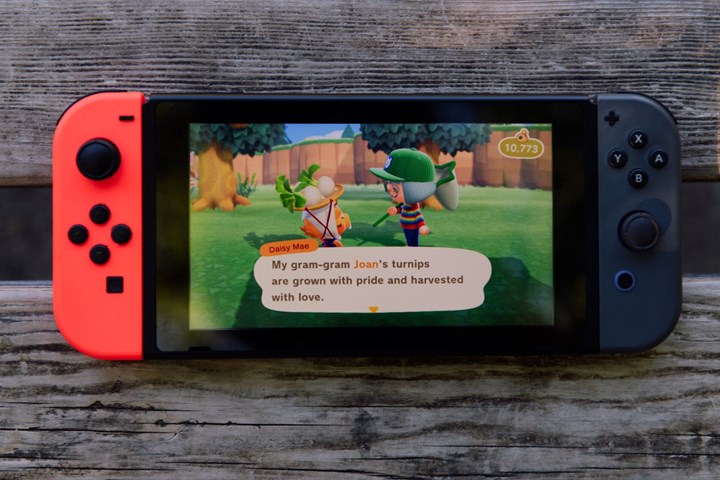 Animal Crossing on Switch