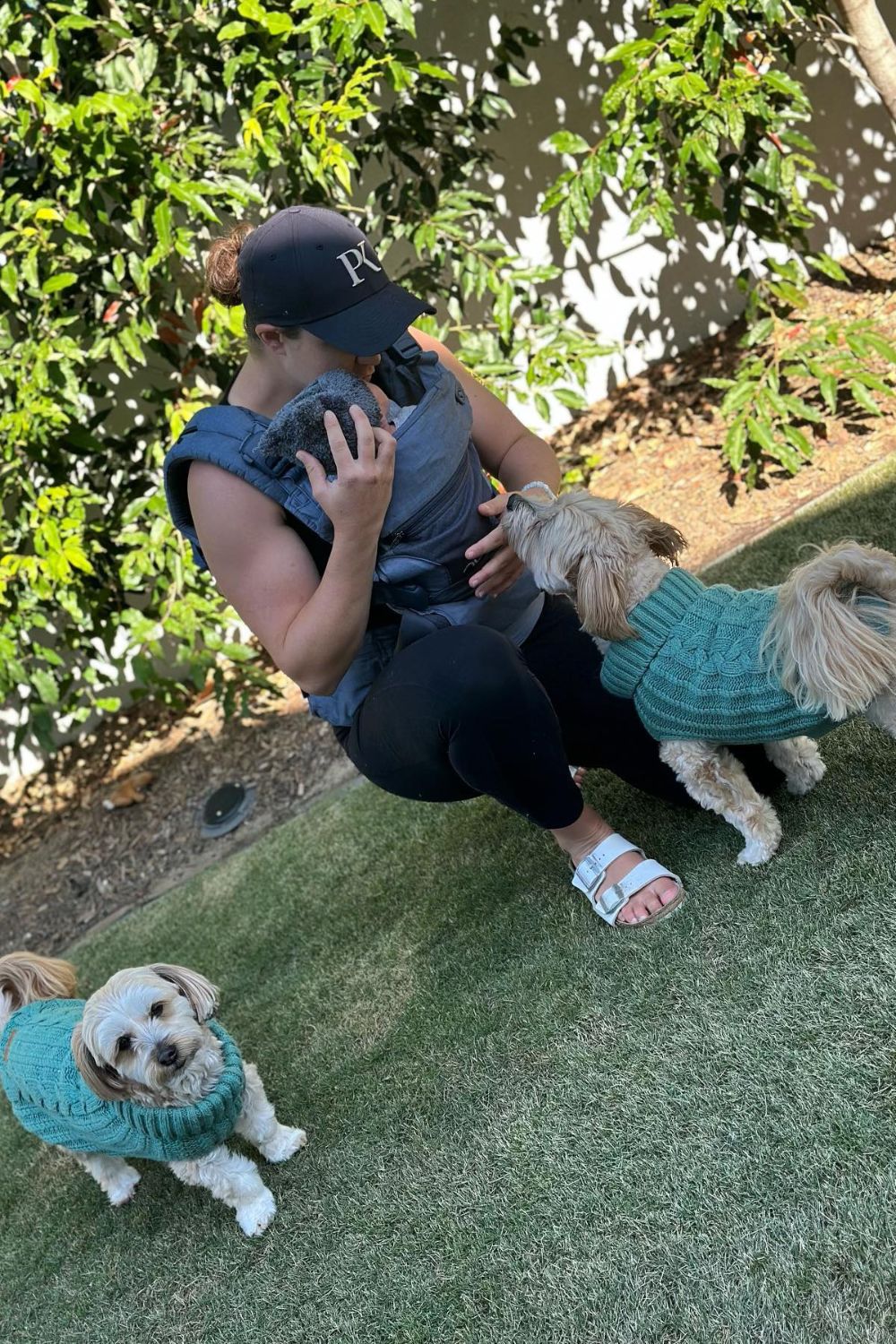 Woman in cap with baby carrier crouching on grass, two small dogs wearing blue sweaters beside her.