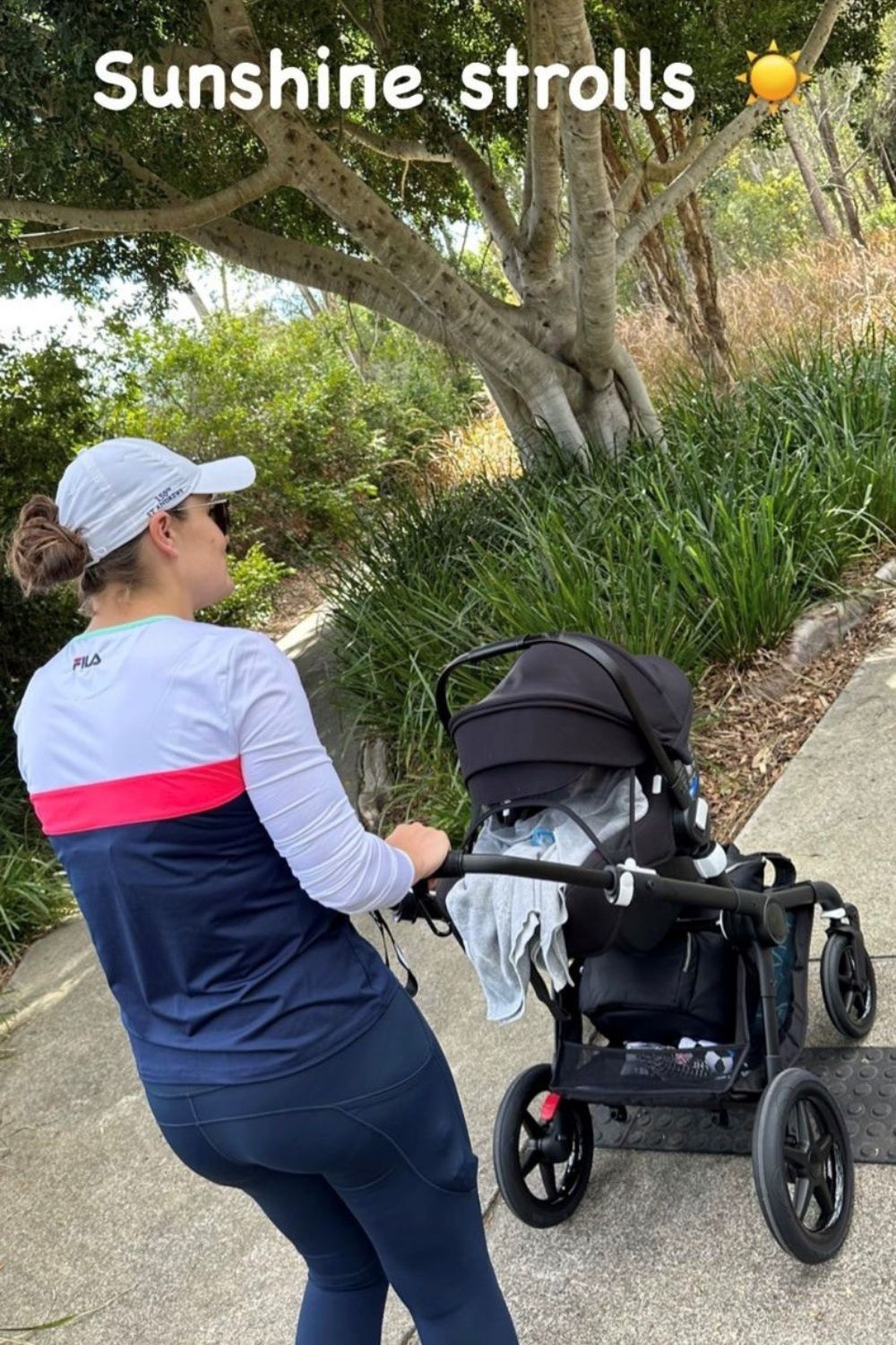 A person walking with a stroller on a sunny day under a large tree.