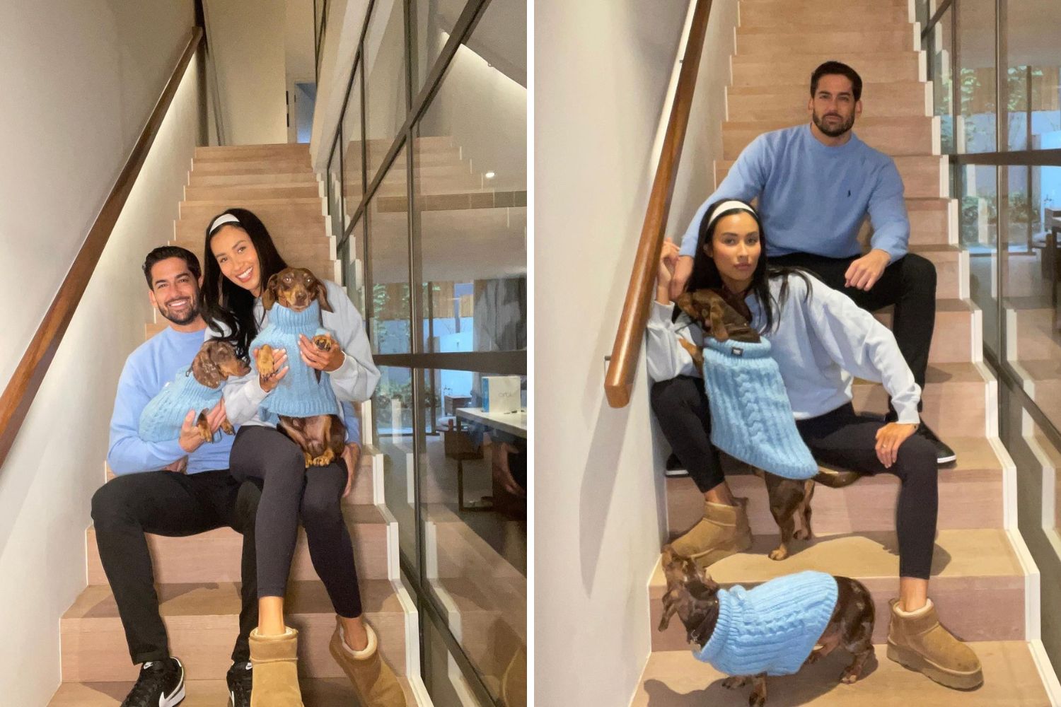 Couple in casual attire sits on stairs with two dogs wearing matching blue sweaters.