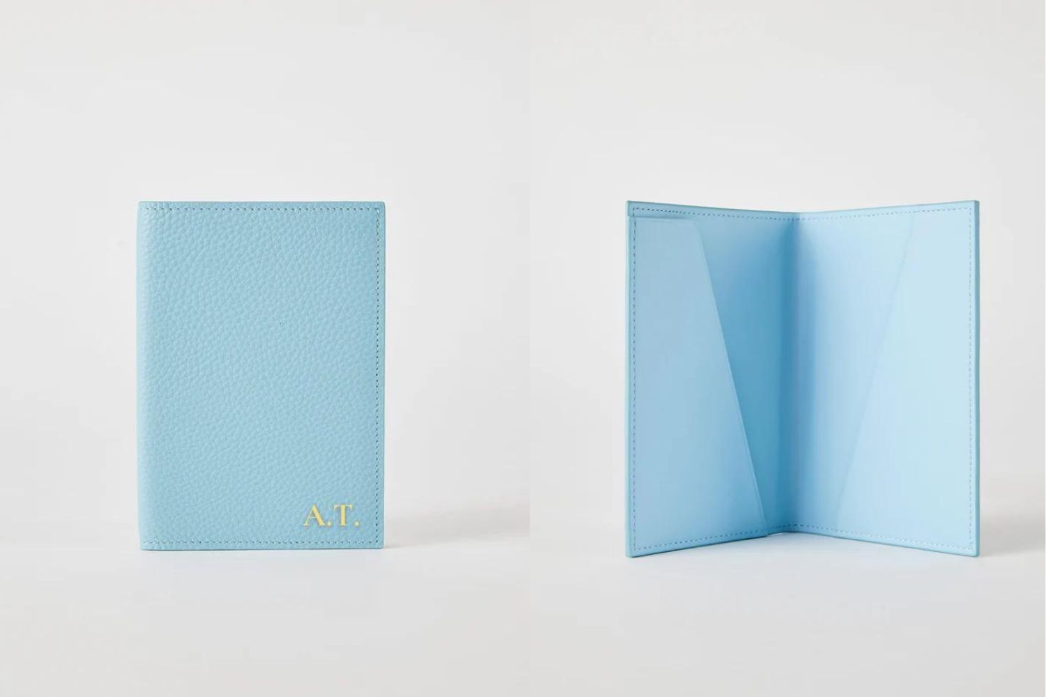 blue passport holder from mon purse.