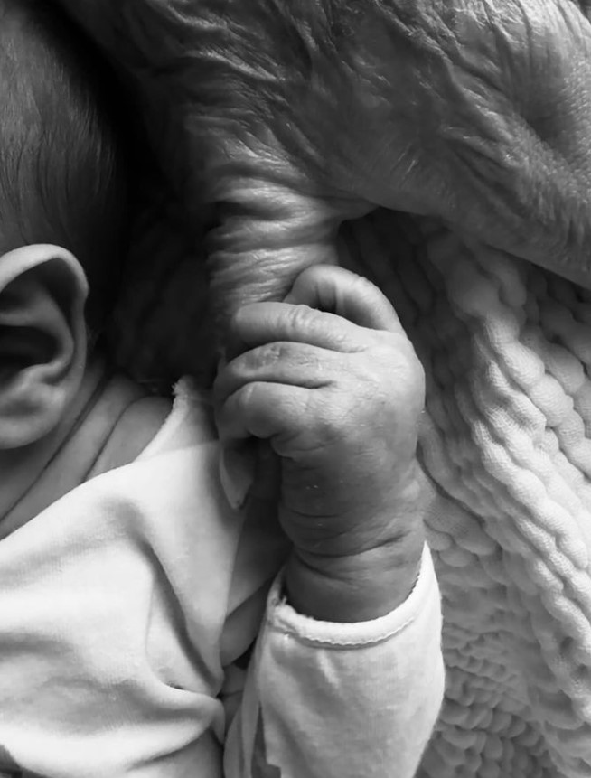 sophie delezio baby born