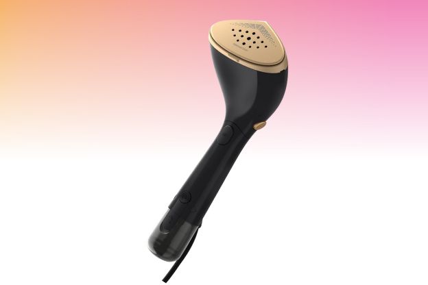 philips handheld steamer