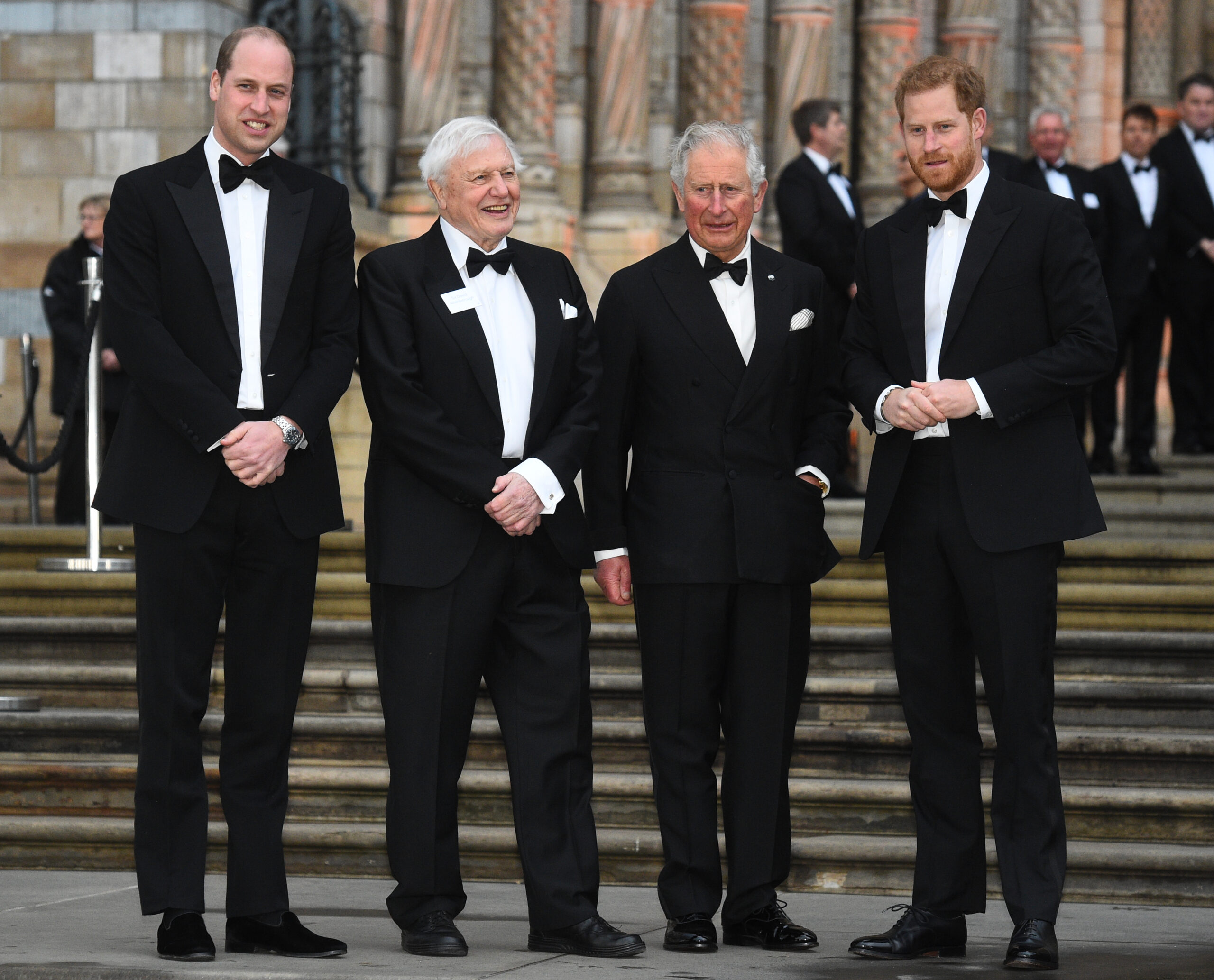 Prince William David Attenborough King Charles and Prince Harry