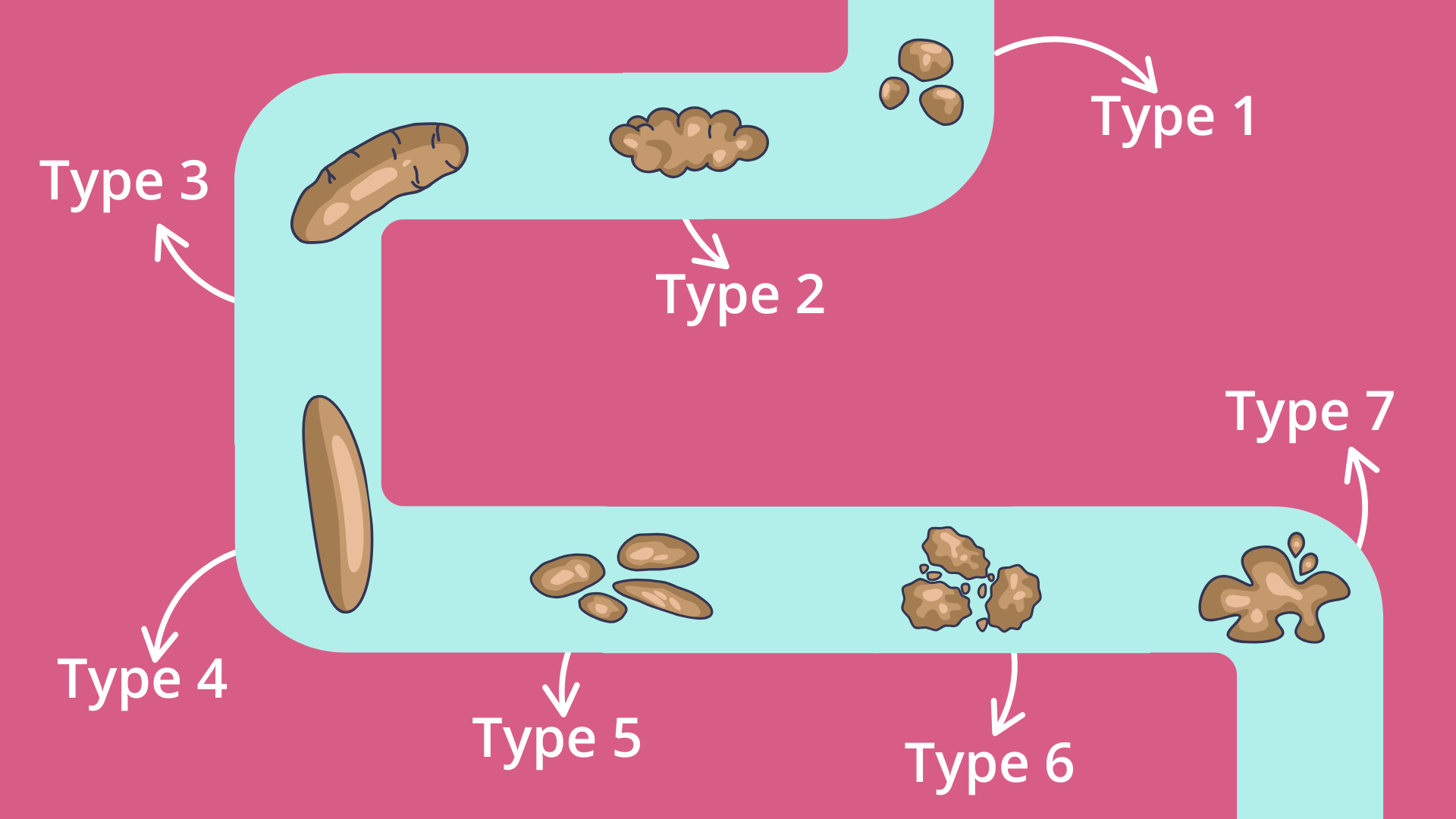 Bristol stool chart