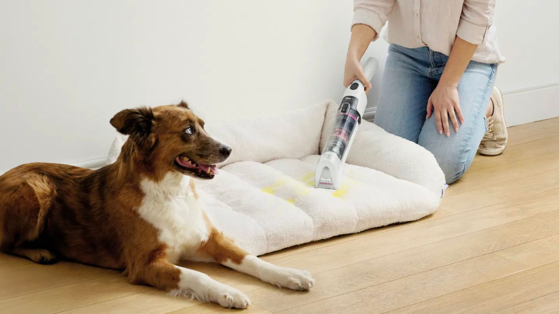 How this cordless stain remover gives you professional results at home