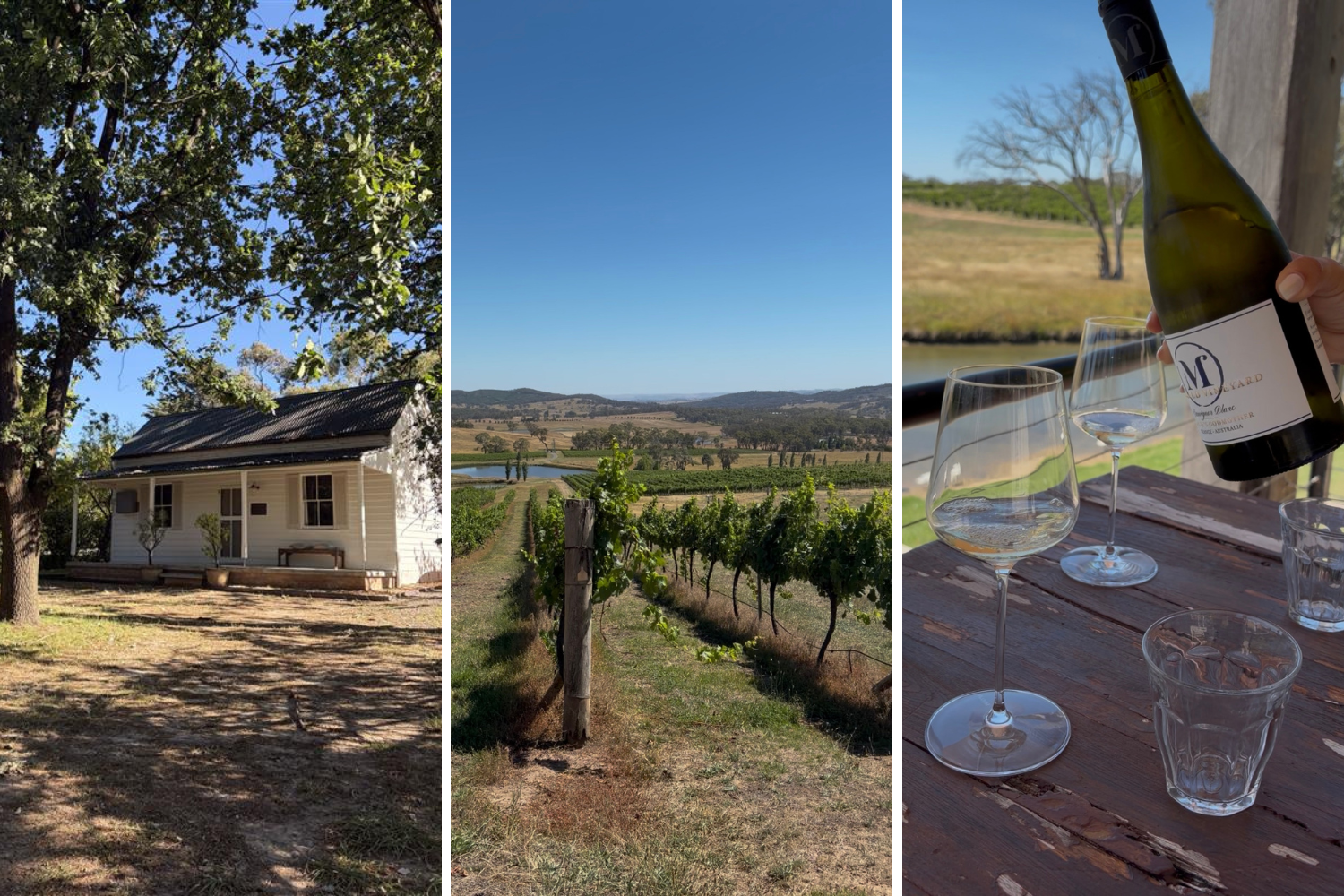 Why you need to add this historic vineyard to your travel bucket list