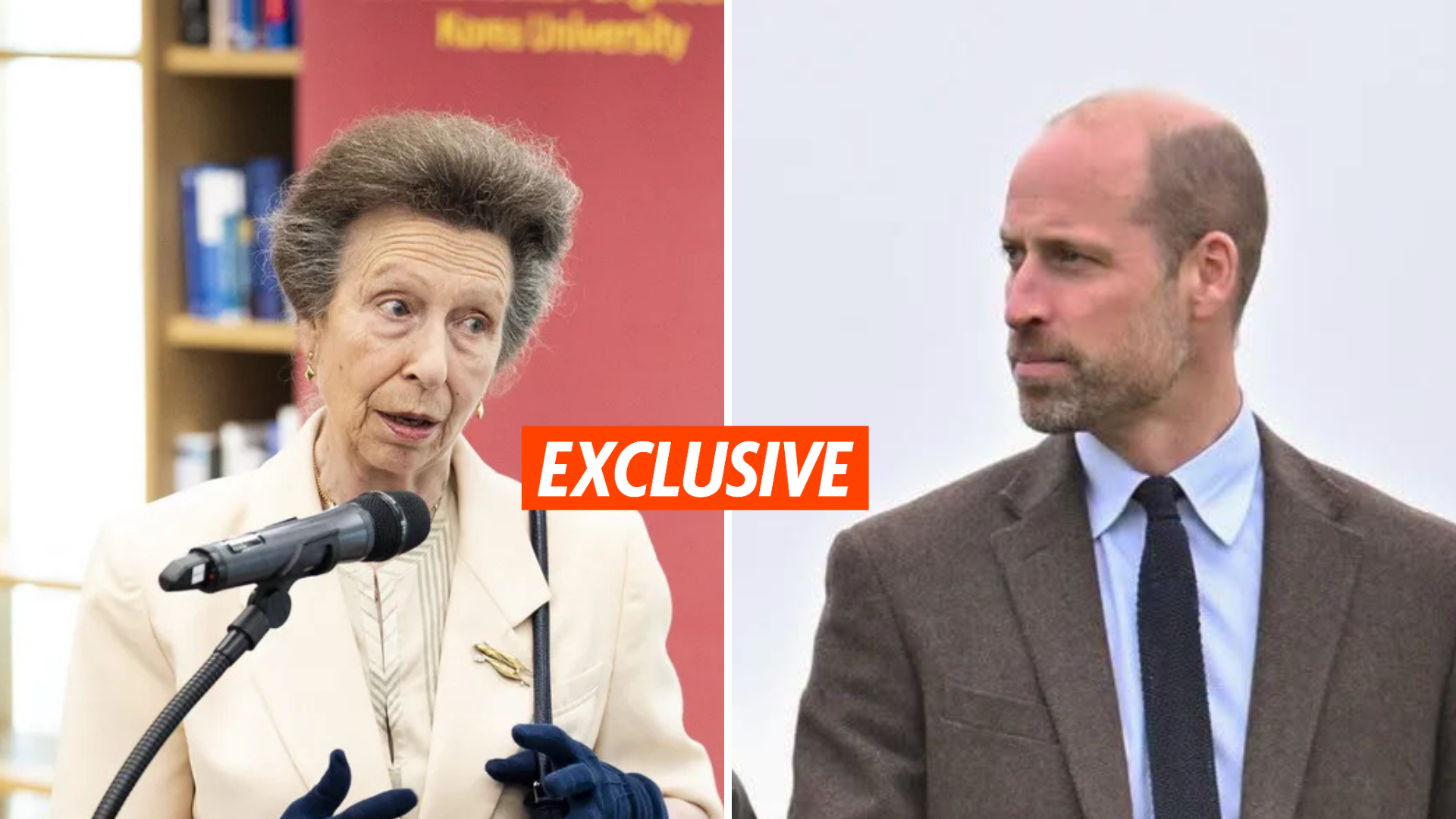 “Not the time to make enemies”: Princess Anne’s scathing warning to Prince William