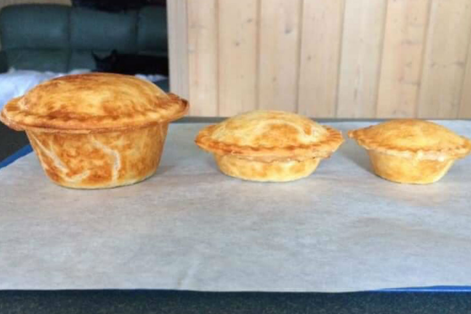 Kmart, Sunbeam or Kogan which Pie Maker should I buy? New Idea