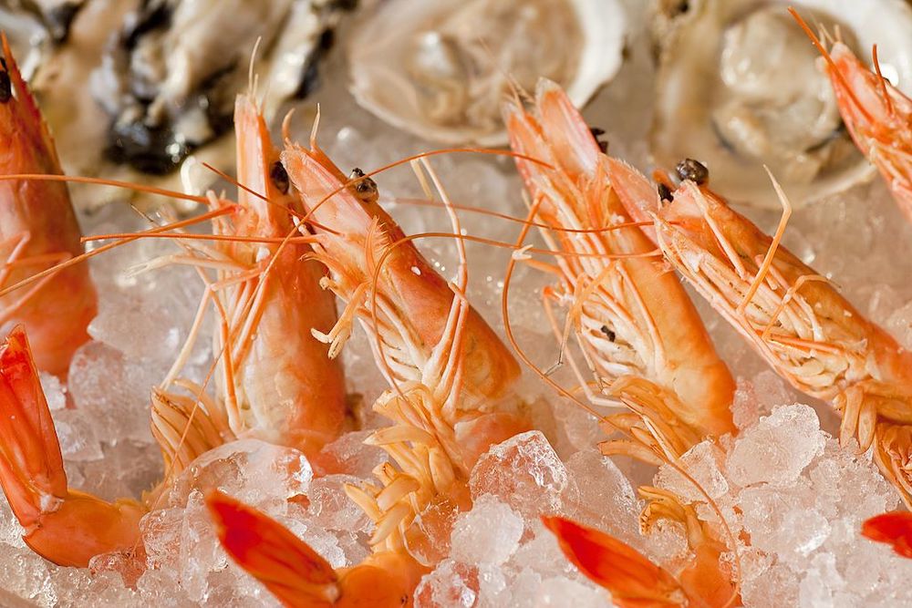 How Long Do Cooked Prawns Last in the Fridge? New Idea