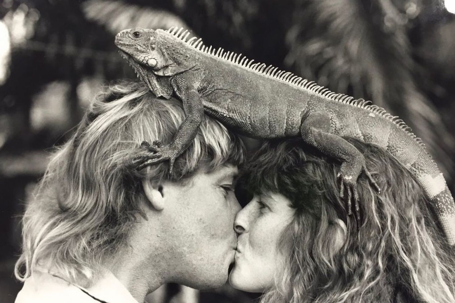 Terri Irwin joins Instagram with heartwarming tribute to late husband ...