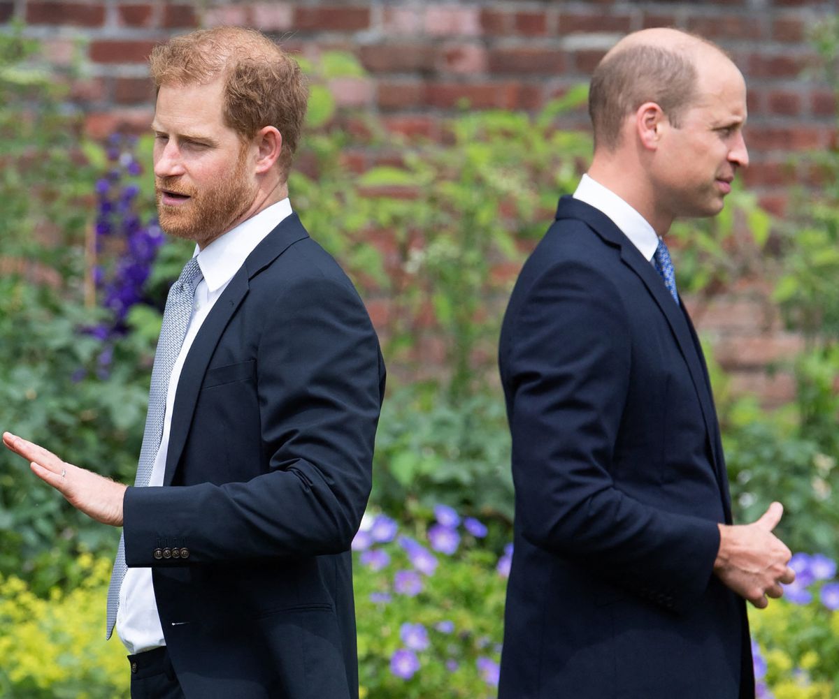 prince-harry-prince-william