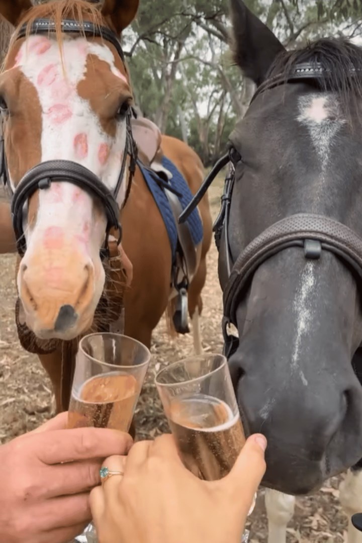 farmer wants a wife claire and andrew engaged, champagne glasses and horses
