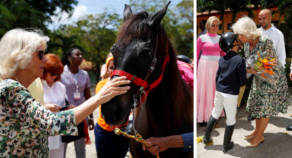 SEE THE PICS: Camilla awkwardly meets a horse called ‘Shy Di’
